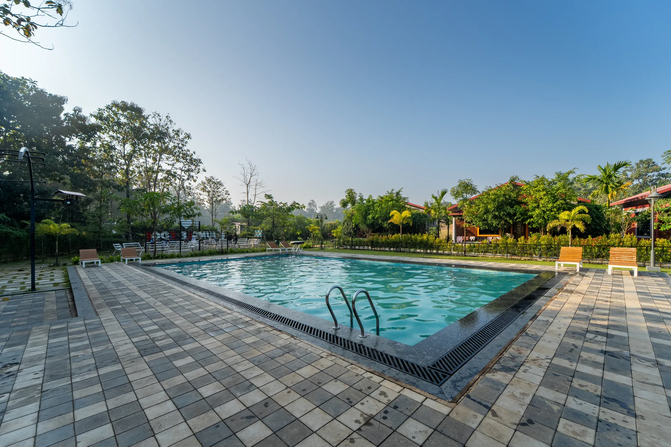 The swimming pool and greenery at Jungle Edge Resort